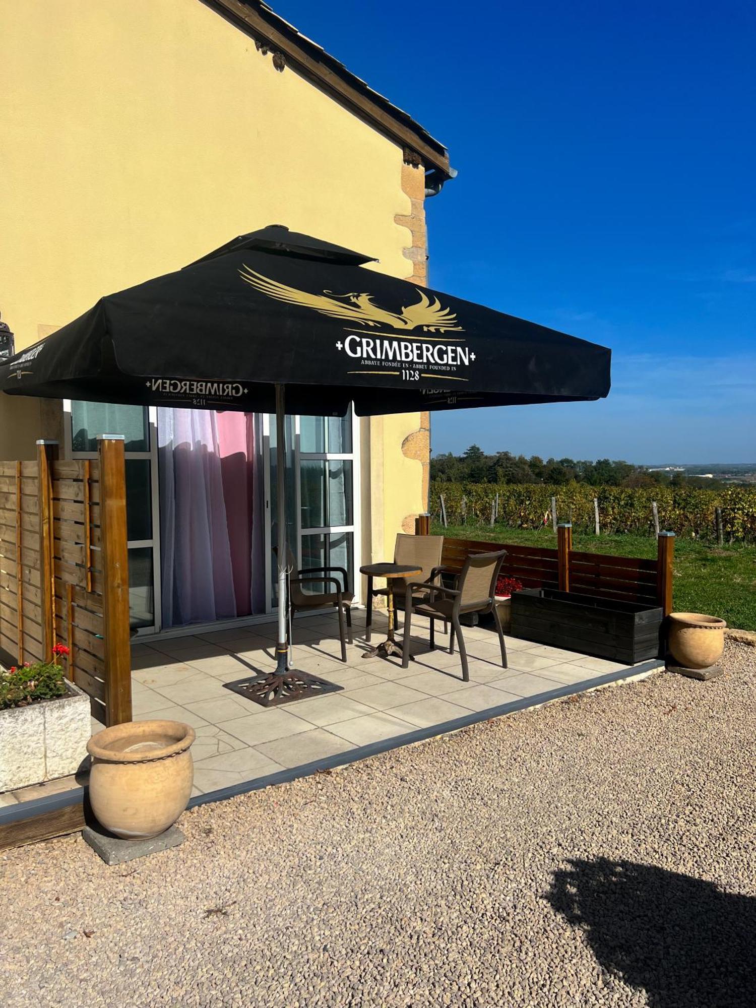 La Cote Des Blancs - Domaine Viticole & Maison D'Hotes Vinzelles Exterior photo